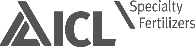 ICL Logo