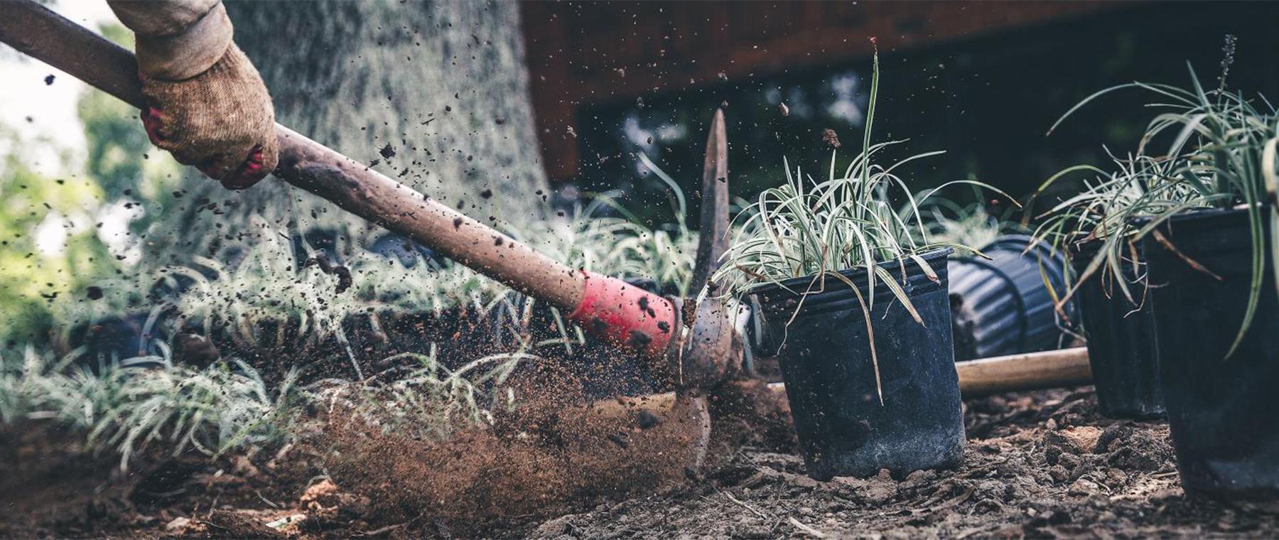 SiteOne Breaking Ground