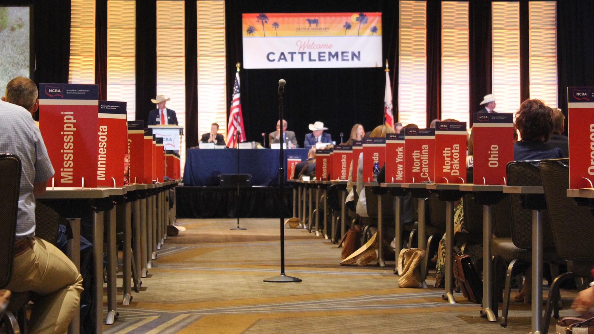 Cattle Industry Summer Meeting Article Inset