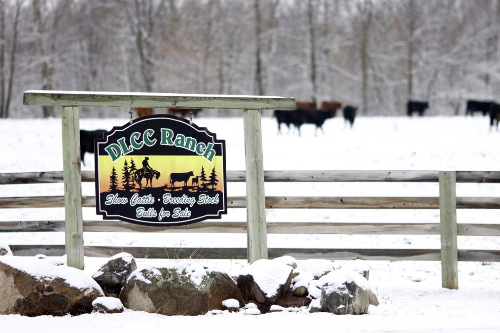 Passion Profile Leah Giess Carousel Image